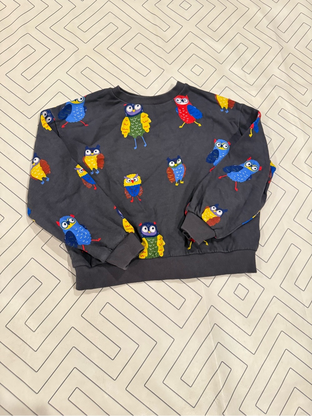 Mini Boden Dark Gray Owl Print Sweatshirt